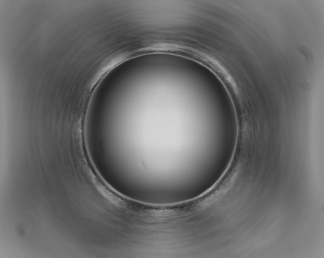 X0000113001425200908271337