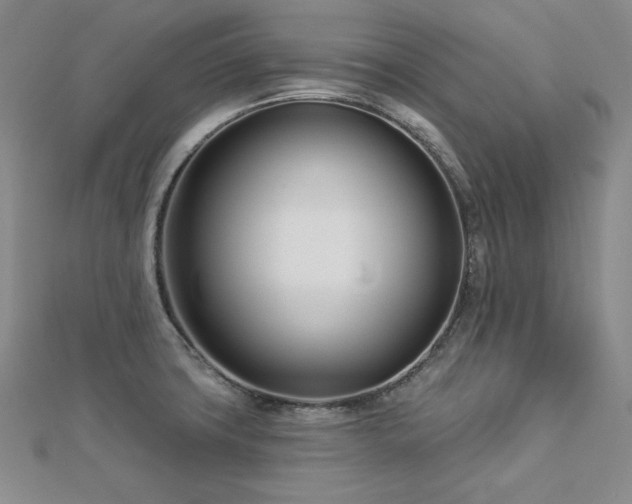 X0000113001427200908271338