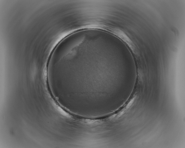 X0000113001428200908271338
