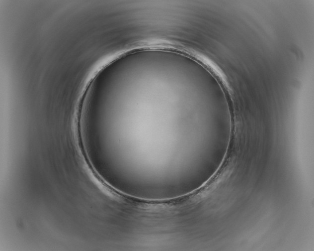 X0000113001429200908271338