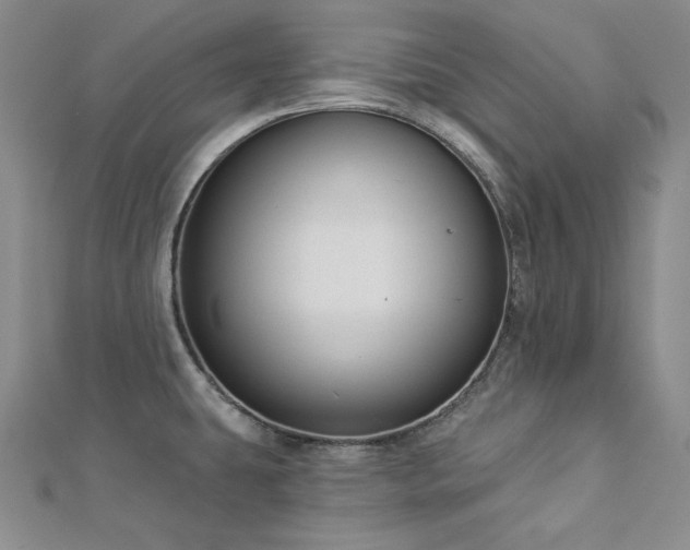 X0000113001431200908271338