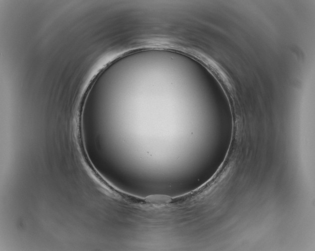 X0000113001432200908271338