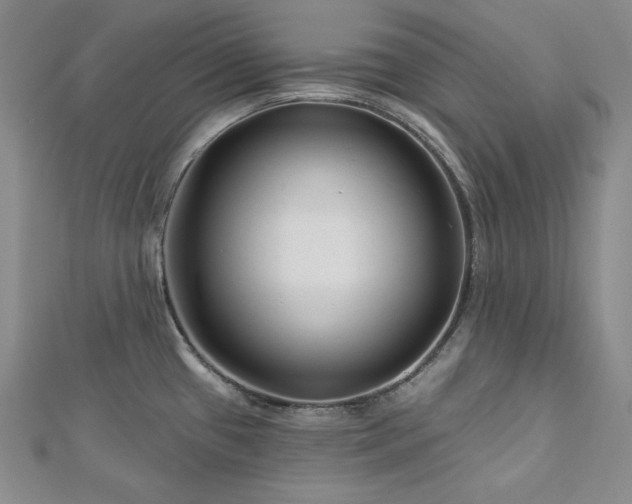 X0000113001433200908271338