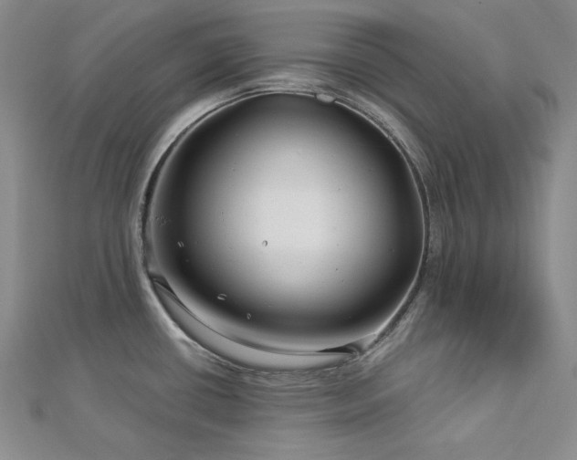 X0000113001434200908271338