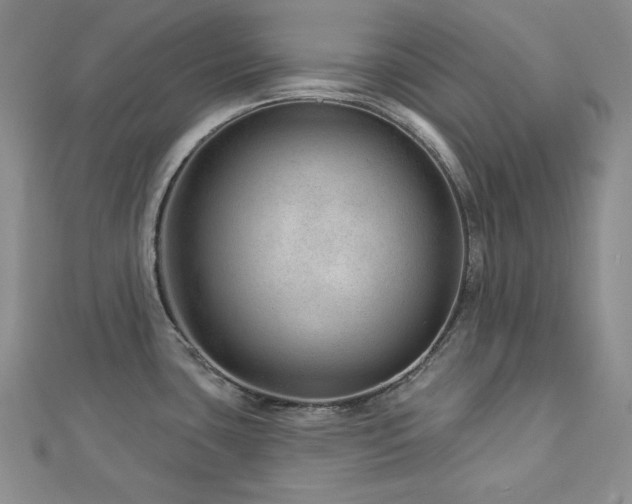 X0000113001435200908271338