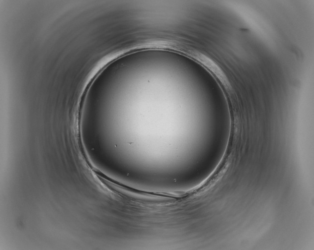 X0000113001436200908271338