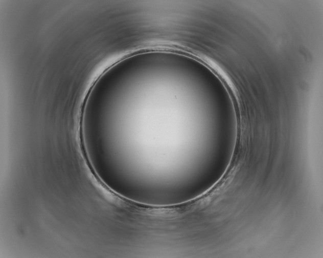 X0000113001437200908271338