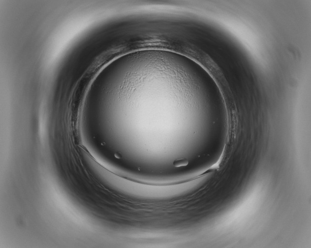 X0000113001438200908271338