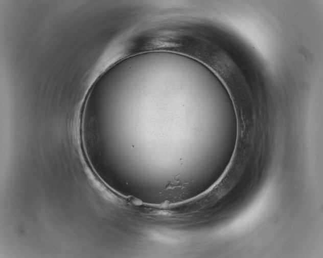 X0000113001439200908271338
