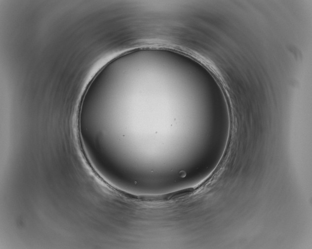 X0000113001440200908271338