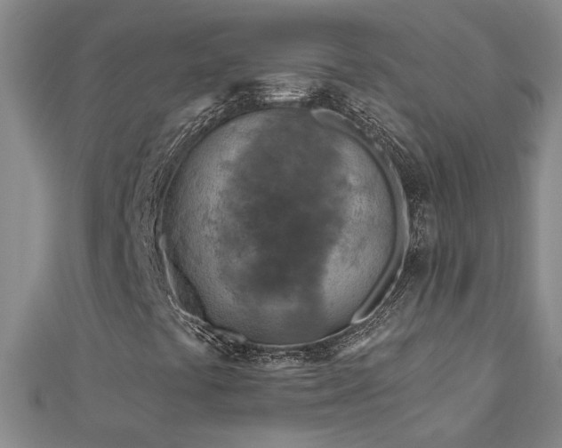 X0000113001441200908271337