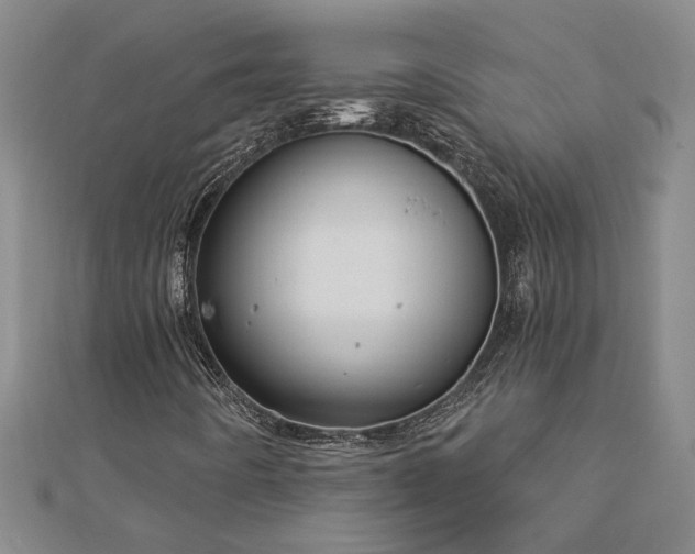 X0000113001442200908271337