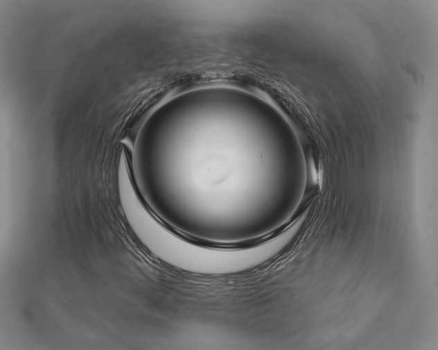 X0000113001444200908271337