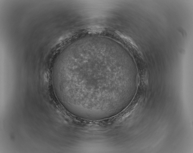 X0000113001445200908271337