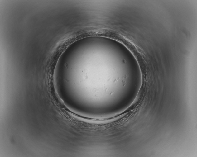X0000113001447200908271337
