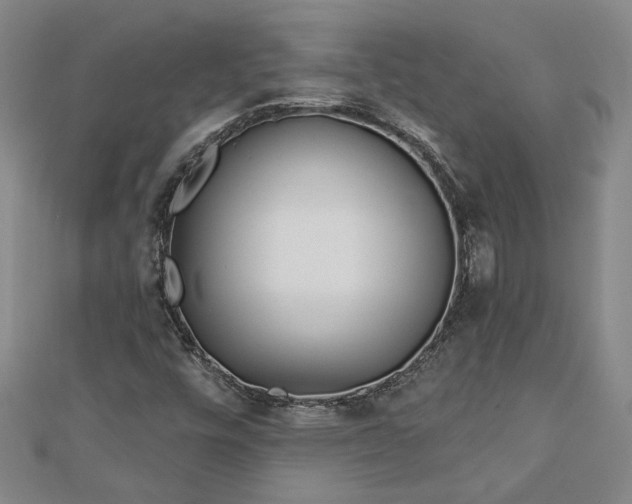X0000113001448200908271337