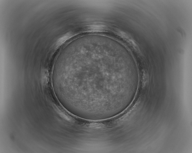 X0000113001449200908271337