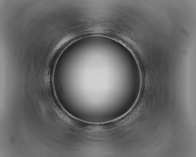 X0000113001450200908271337
