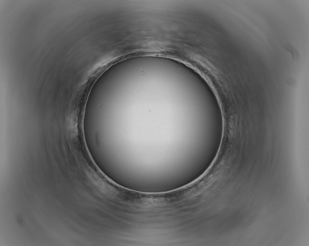 X0000113001451200908271337