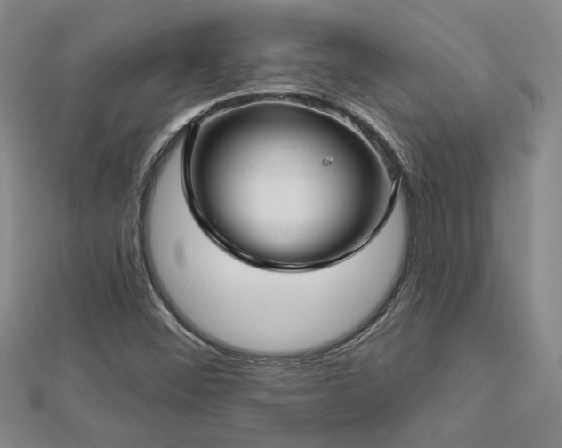 X0000113001452200908271337