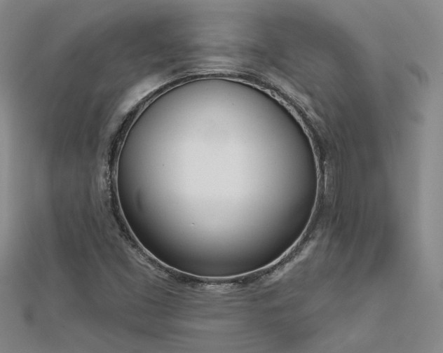 X0000113001453200908271337