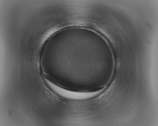 X0000113001455200908271337