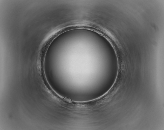 X0000113001456200908271337