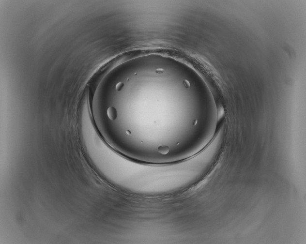 X0000113001457200908271337