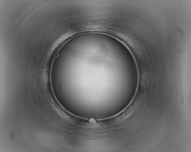 X0000113001458200908271336