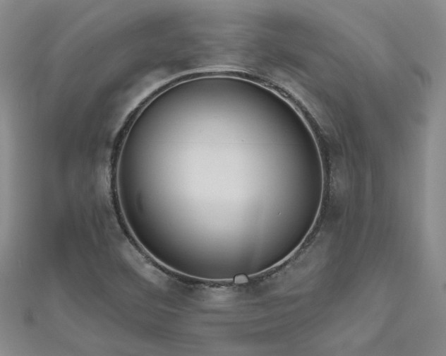 X0000113001460200908271336