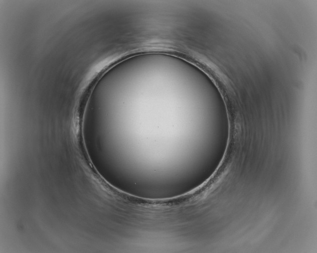 X0000113001461200908271336