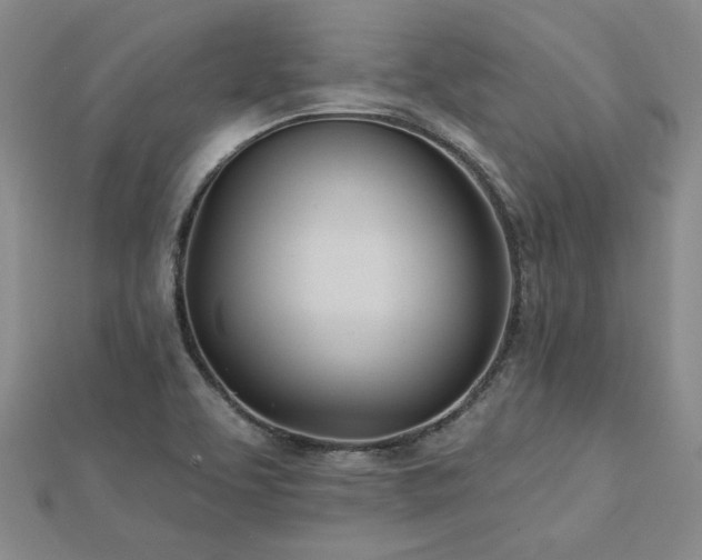 X0000113001463200908271336
