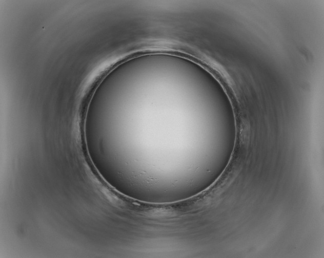 X0000113001464200908271336