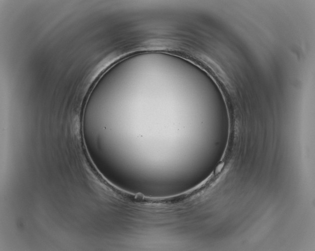 X0000113001465200908271336