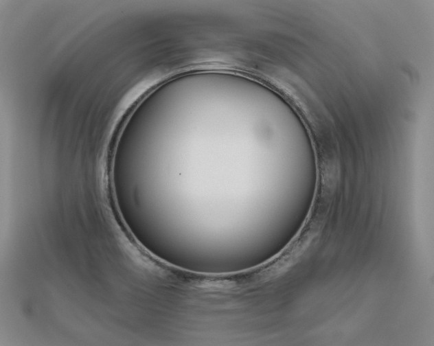 X0000113001466200908271336