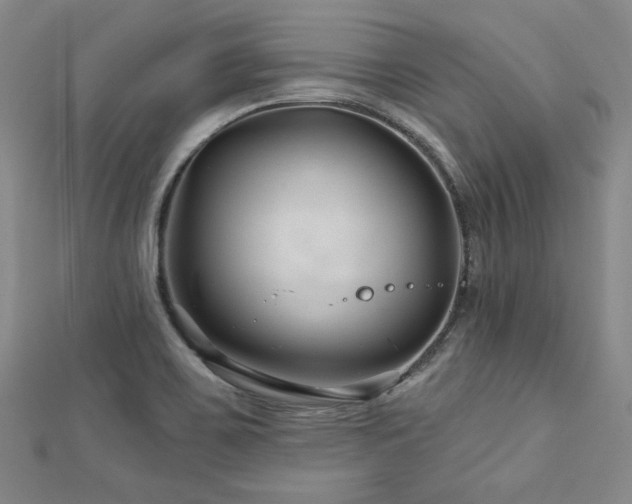 X0000113001467200908271336