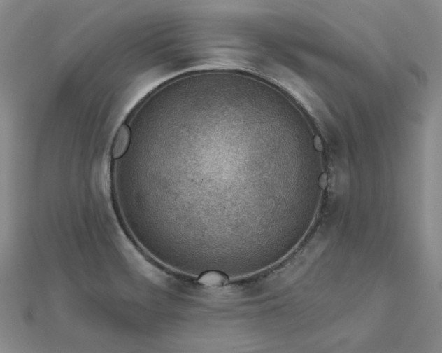 X0000113001468200908271336