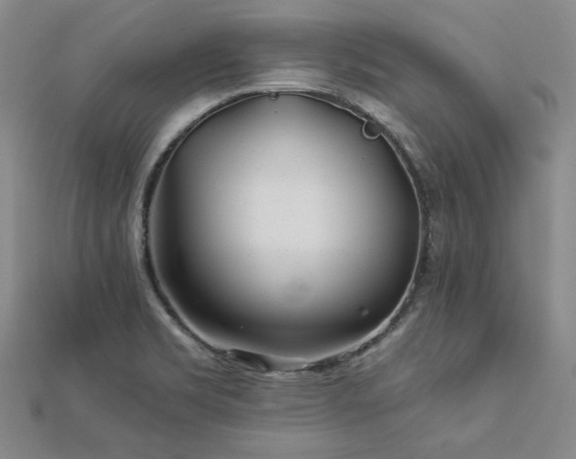 X0000113001469200908271336