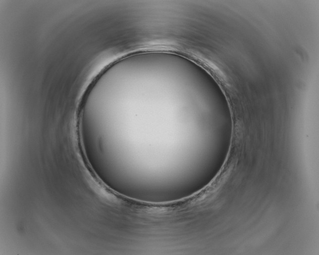 X0000113001470200908271336