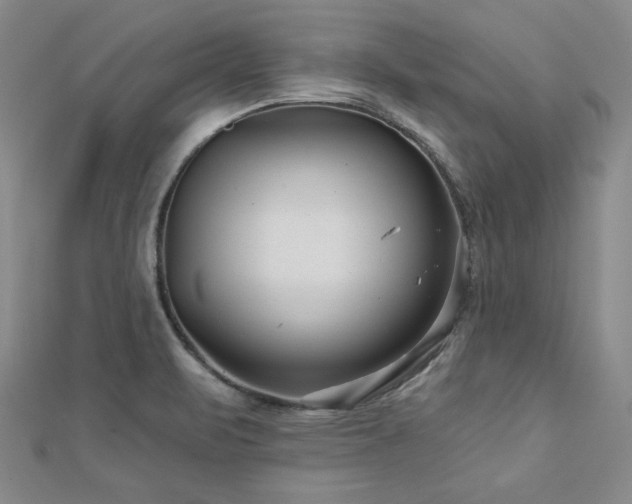 X0000113001471200908271336