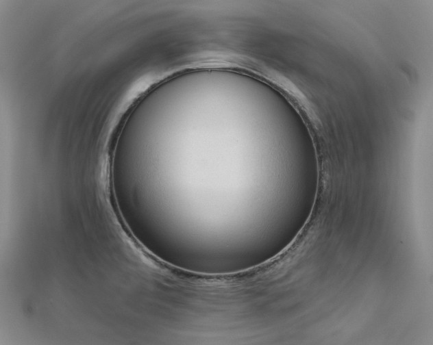 X0000113001472200908271336