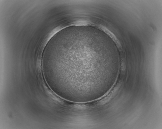 X0000113001473200908271336