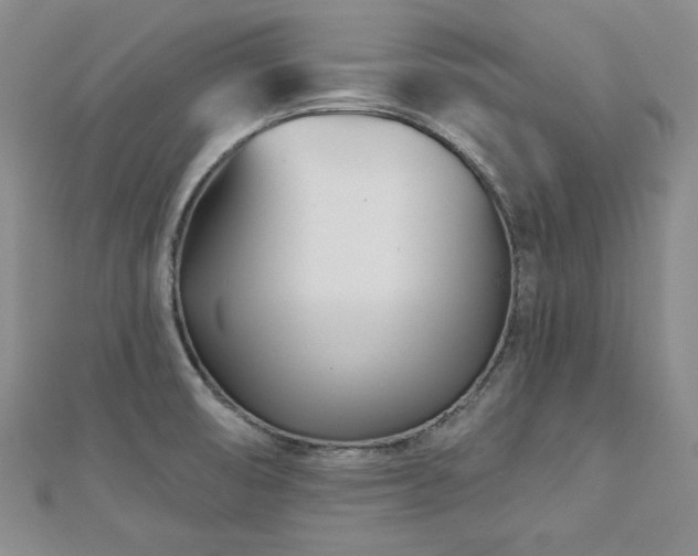 X0000113001474200908271336