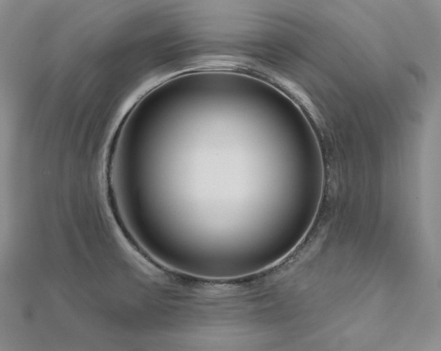 X0000113001475200908271336