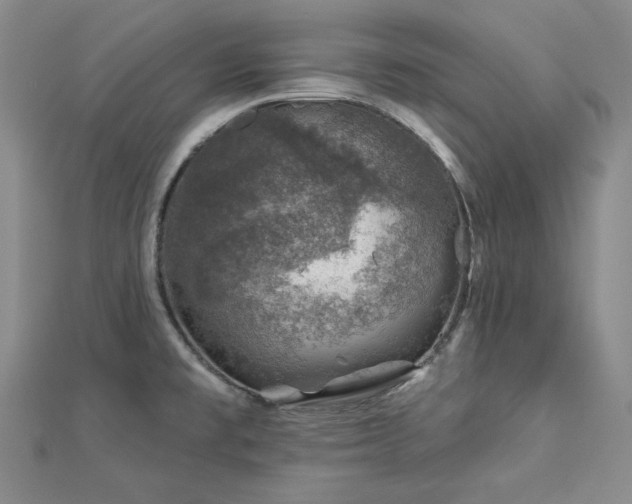 X0000113001477200908271336