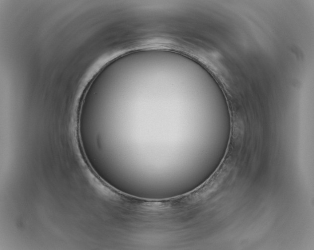 X0000113001478200908271336
