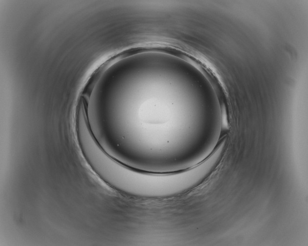X0000113001480200908271336
