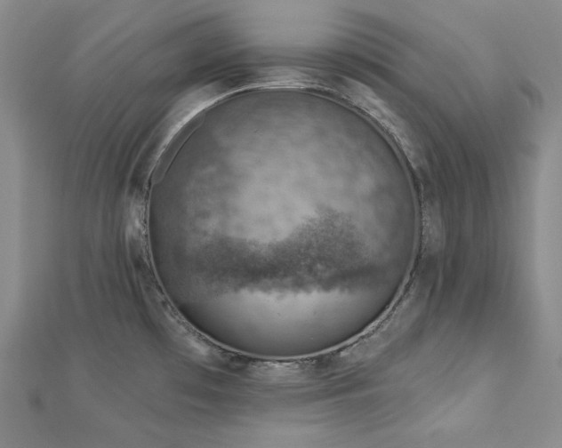 X0000113001481200908271336