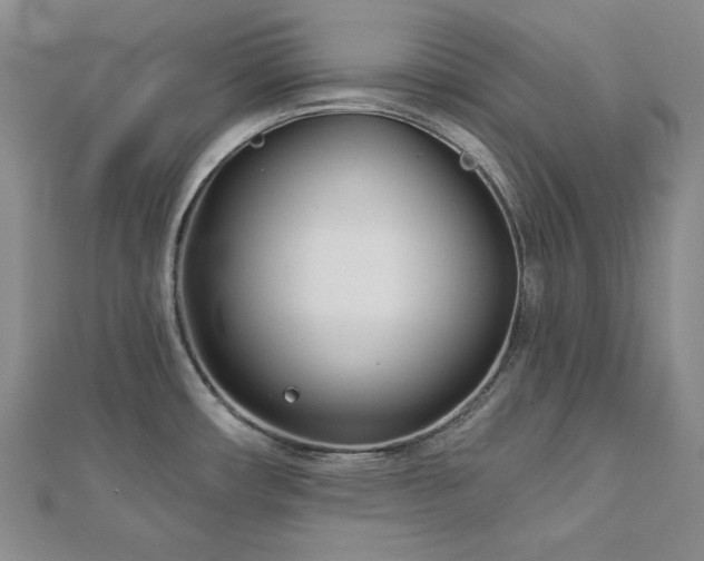 X0000113001482200908271336