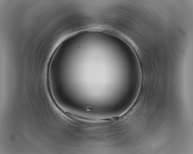 X0000113001483200908271336